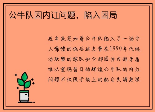 公牛队因内讧问题，陷入困局
