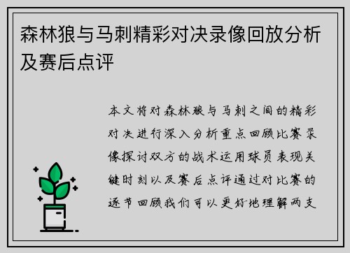 森林狼与马刺精彩对决录像回放分析及赛后点评
