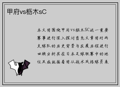 甲府vs枥木sC