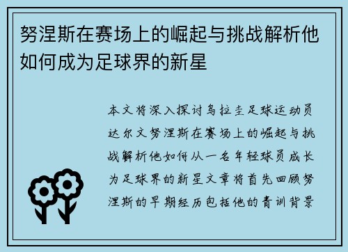 努涅斯在赛场上的崛起与挑战解析他如何成为足球界的新星